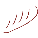 Sandwich Hand